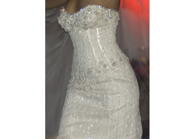 https://comparethediamond.com/image/cache/blog/newimgs/Diamond-Wedding-Gown1-630x450.jpg