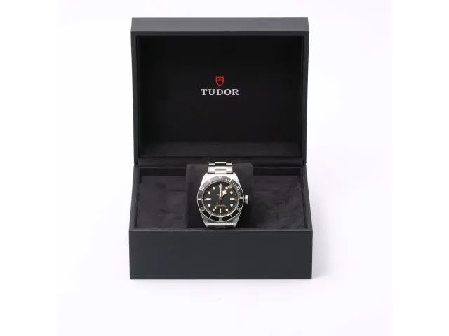 Tudor Black Bay