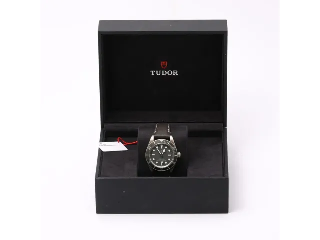 Tudor Black Bay 58 925