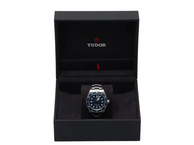 Tudor Black Bay