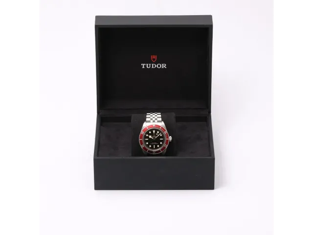 Tudor Black Bay