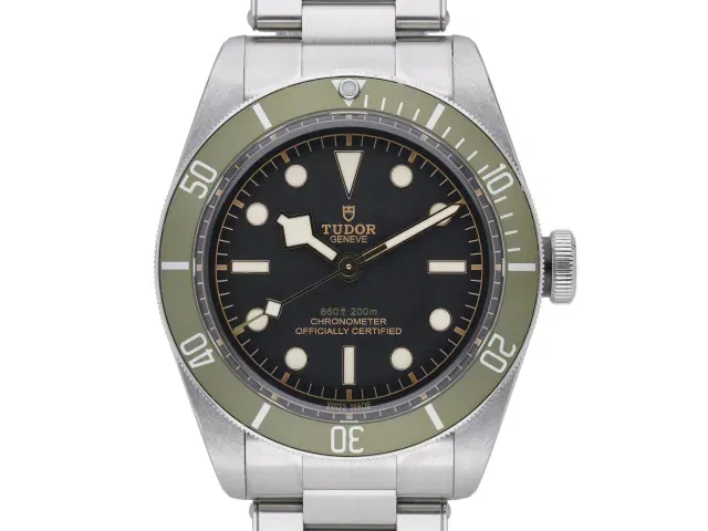 Tudor Black Bay